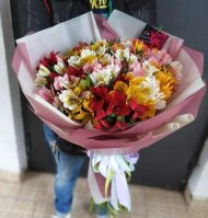 Букет из 29 альстромерий микс Букет из 29 альстромерий микс